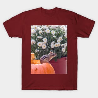 Tiny chipmunk on Halloween pumpkin T-Shirt